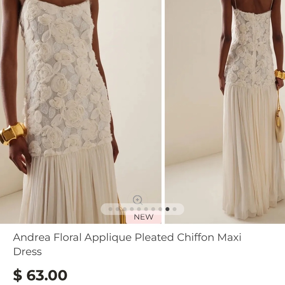 Andrea Floral Applique Pleated Chiffon Maxi Dress - Cream